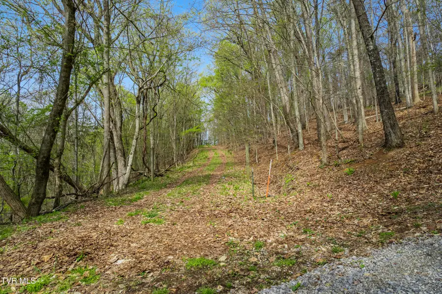 5ac Clemmer Drive, Chuckey, TN 37641 - #2