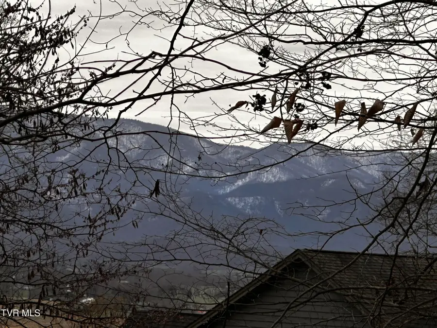 5ac Clemmer Drive, Chuckey, TN 37641 - #3