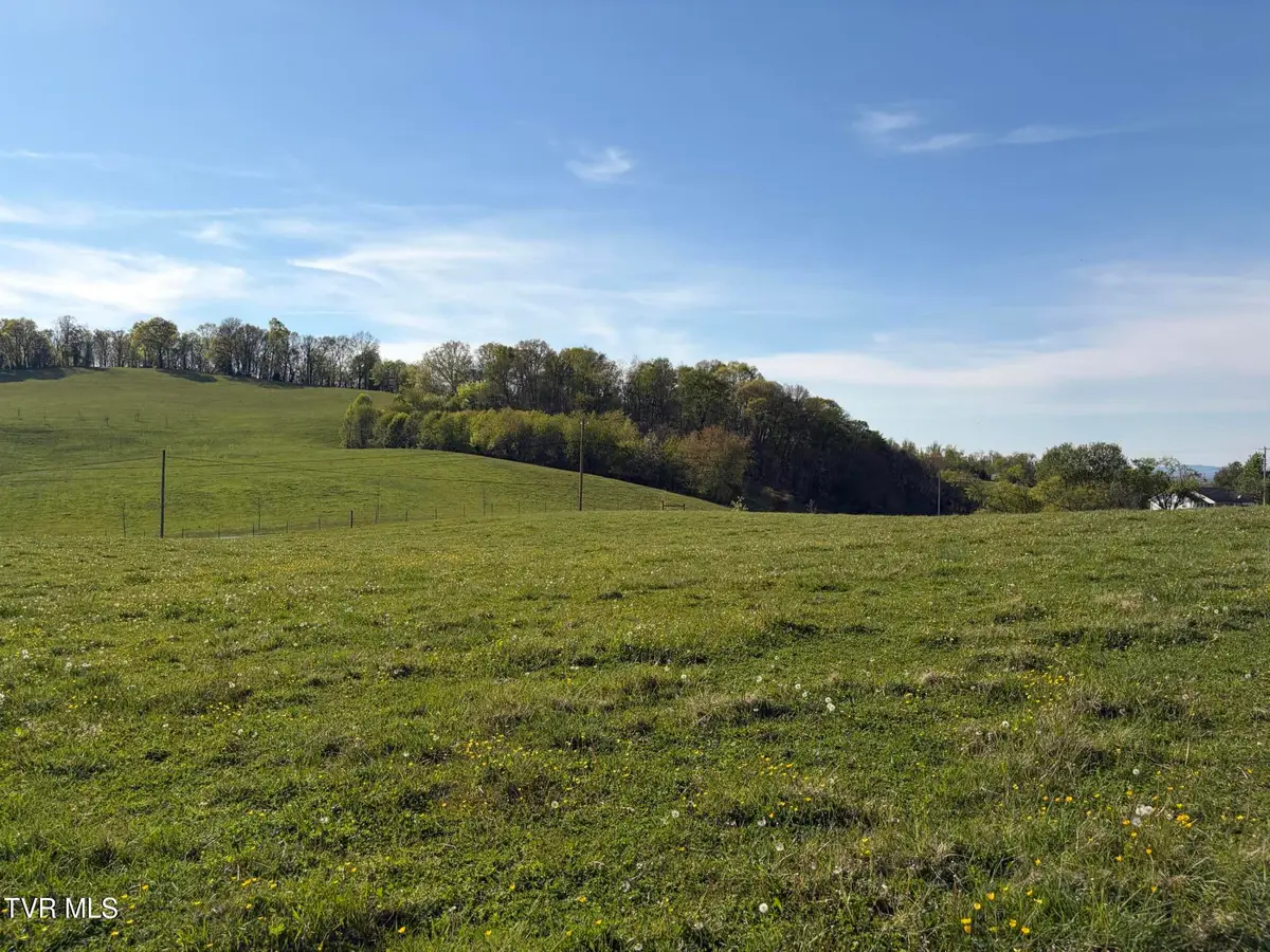 Lot 1 Washington College Road, Limestone, TN 37681 - #1