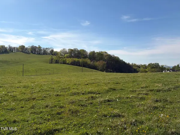 Lot 1 Washington College Road, Limestone, TN 37681