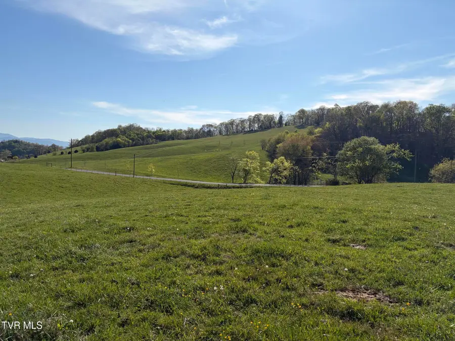 Lot 1 Washington College Road, Limestone, TN 37681 - #3