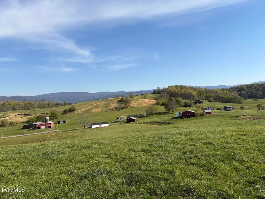 Lot 4 Washington College Road, Limestone, TN 37681 - #3