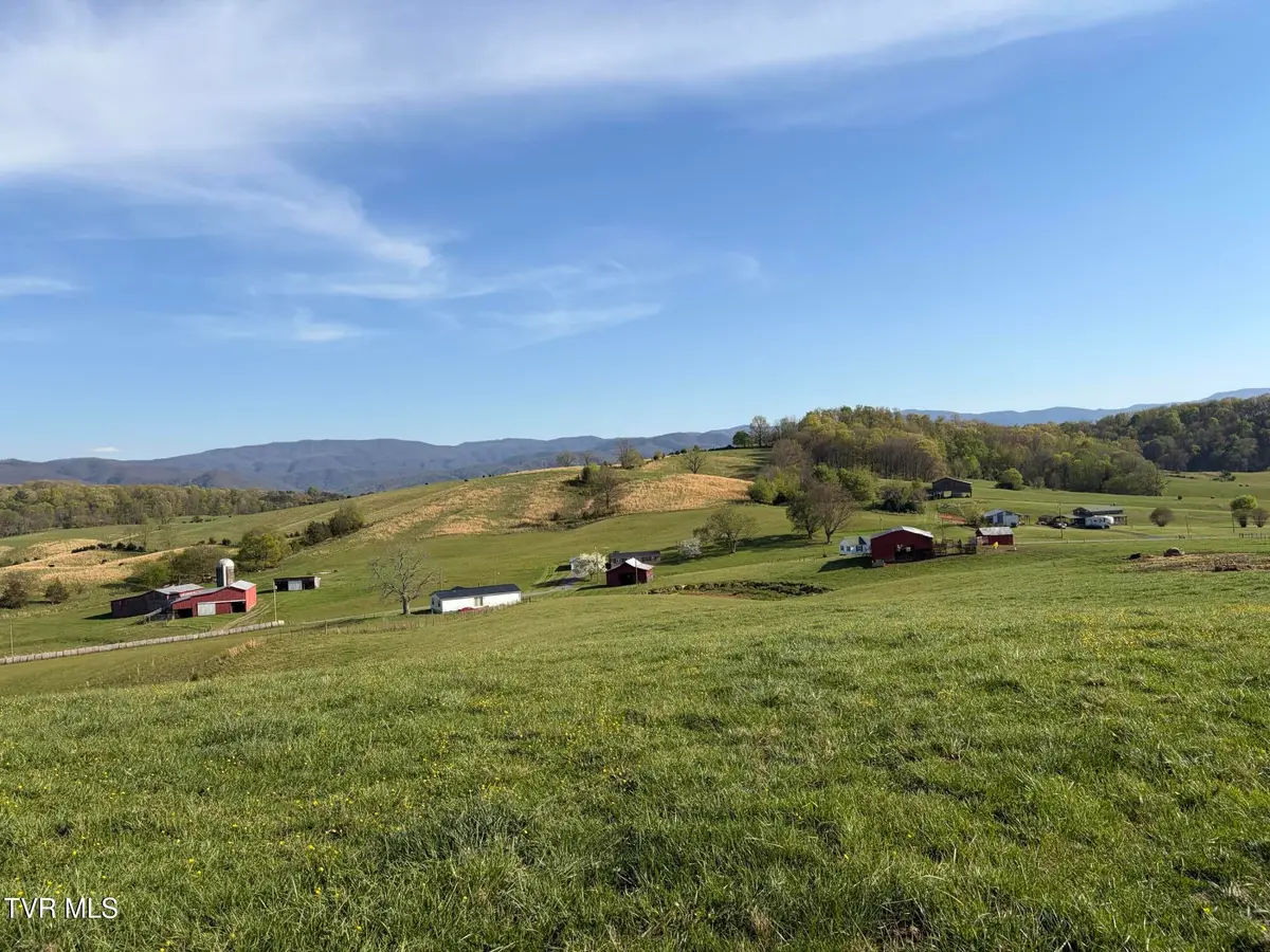 Lot 3 Washington College Road, Limestone, TN 37681 - #1