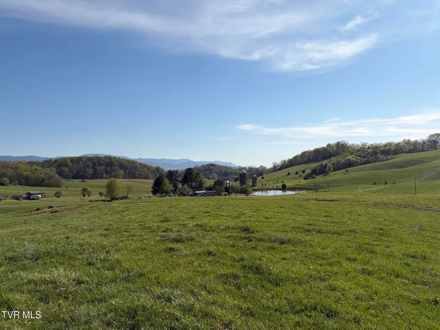 Lot 3 Washington College Road, Limestone, TN 37681 - #2
