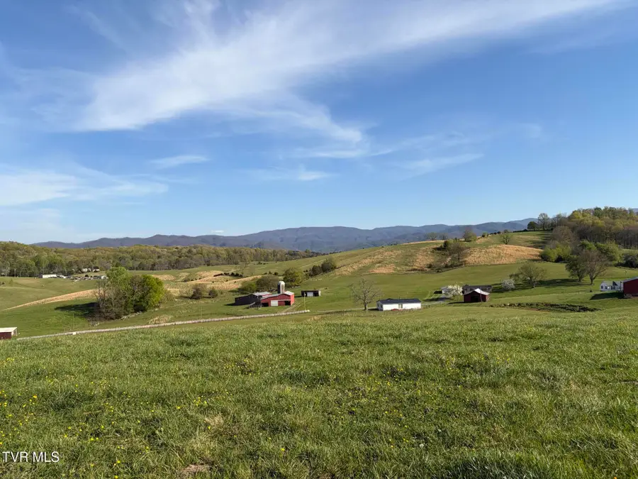 Lot 3 Washington College Road, Limestone, TN 37681 - #3