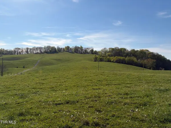 Lot 2 Washington College Road, Limestone, TN 37681