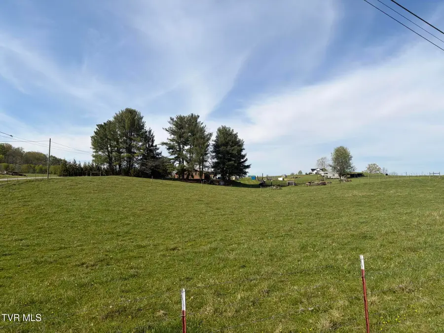 Lot 5 Washington College Road, Limestone, TN 37681 - #3