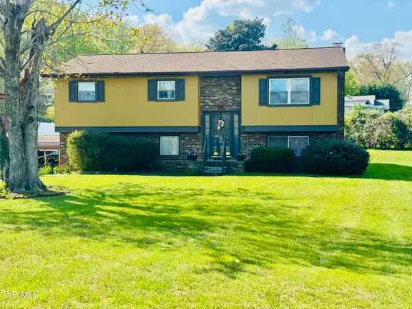 1303 East 10th Avenue, Johnson City, TN 37601