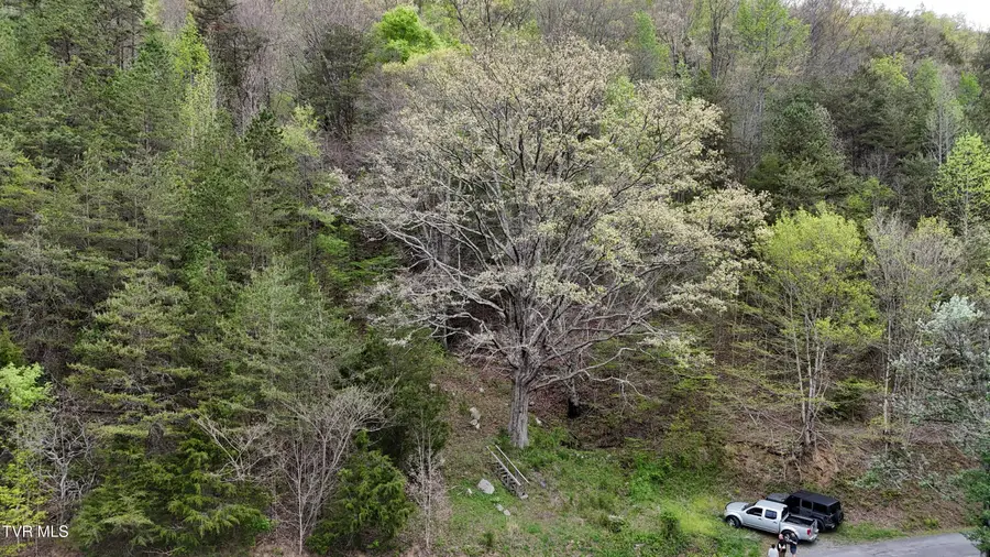 Tract 1 Grassy Creek Road, Rogersville, TN 37857 - #2