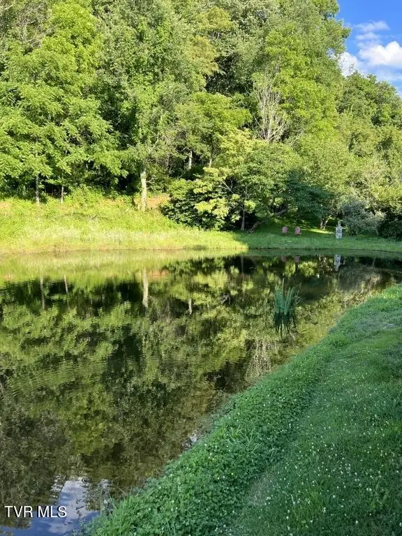 451 Heaton Creek Road, Roan Mountain, TN 37687 - #3