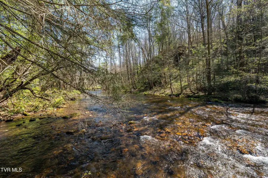 1676 Tn-91, Elizabethton, TN 37643 - #2