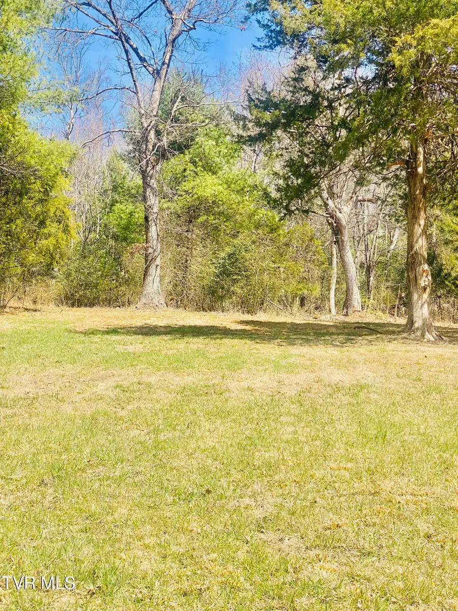 Lot Vineyard Valley Drive, Butler, TN 37640 - #2