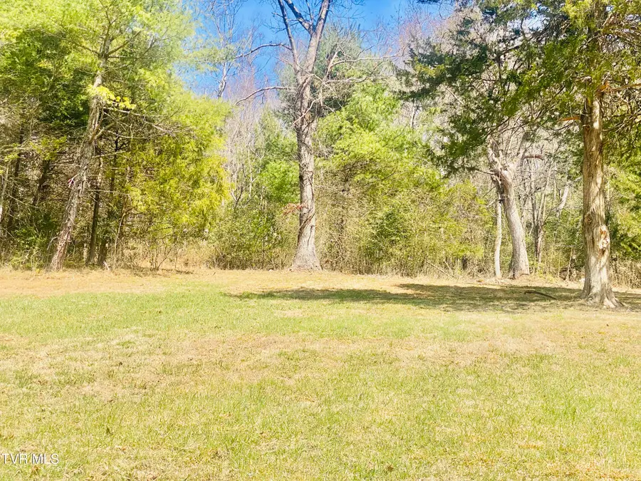 Lot Vineyard Valley Drive, Butler, TN 37640 - #3