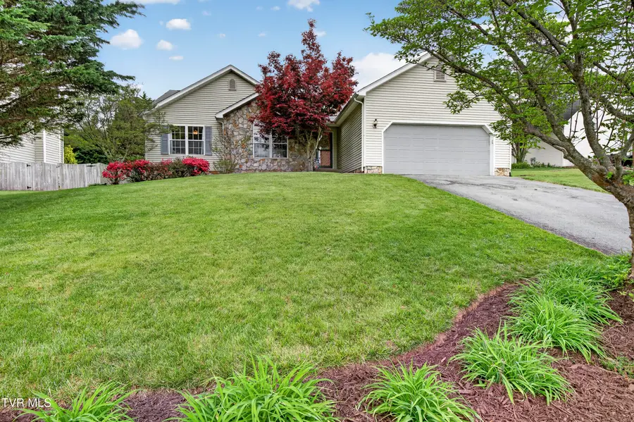 319 Leslie Court, Bristol, TN 37620 - #2