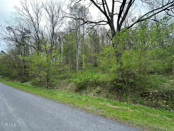 10318 Caney Valley Road, Bristol, VA 24202