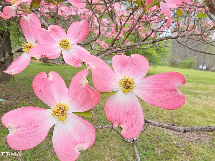 12702 Crab Orchard Road, Coeburn, VA 24230 - #3