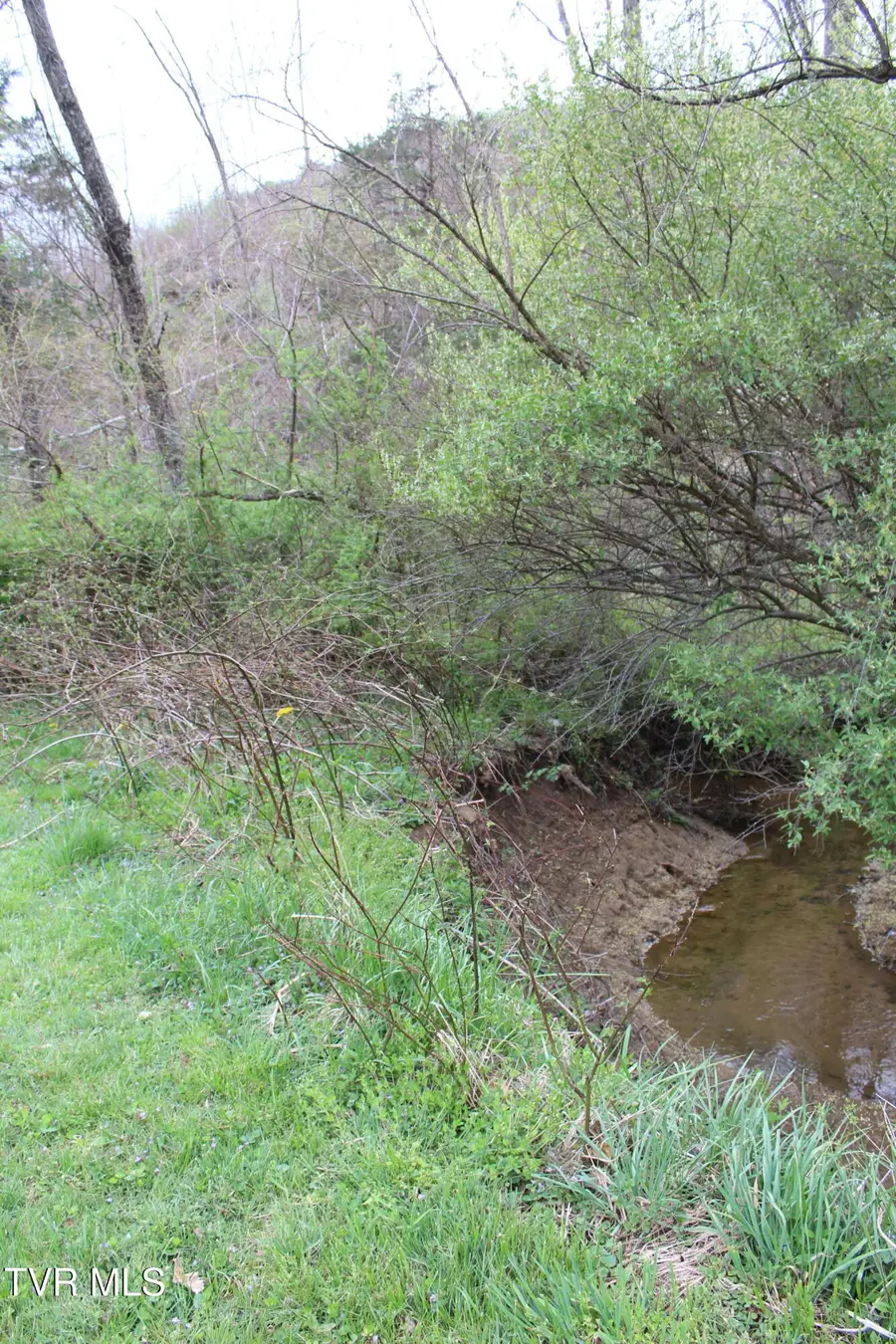 0 Reeds Creek Road, Keokee, VA 24265 - #3