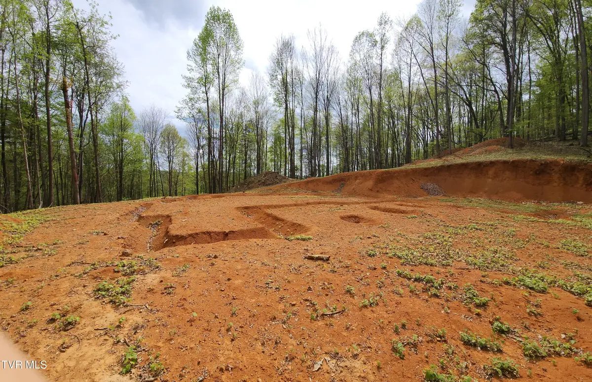 345 Greentree Drive, Blountville, TN 37617 - #1