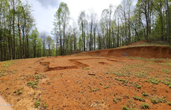 345 Greentree Drive, Blountville, TN 37617