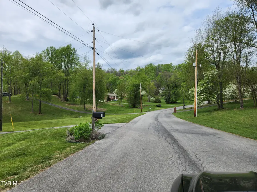 345 Greentree Drive, Blountville, TN 37617 - #2