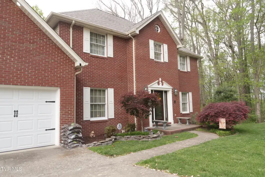 361 Cain Drive, Blountville, TN 37617 - #2