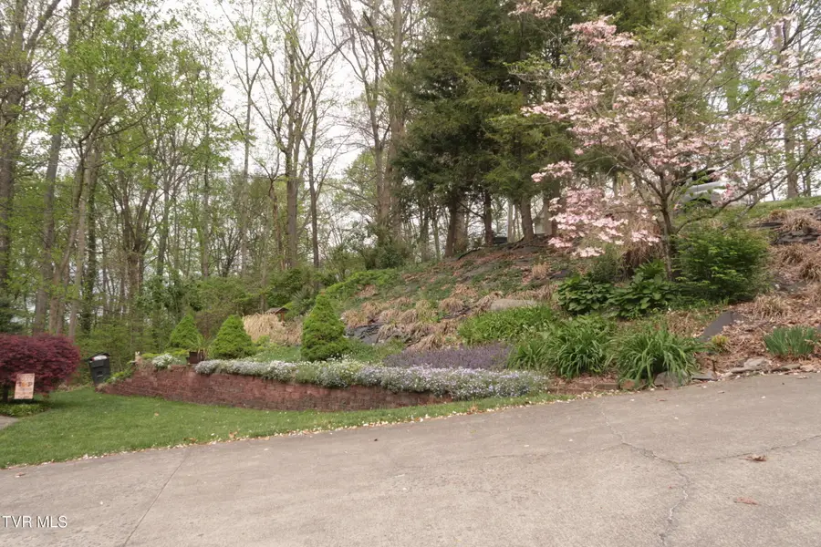 361 Cain Drive, Blountville, TN 37617 - #3