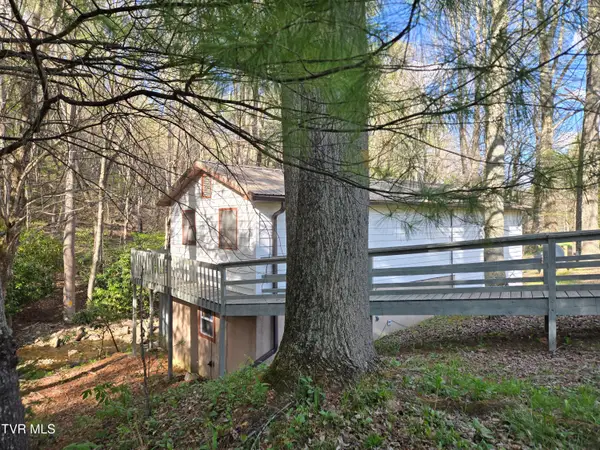 326 Cove Creek Road, Roan Mountain, TN 37687