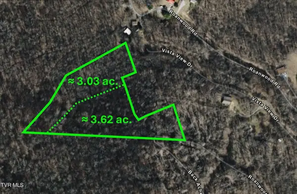 000 Sylvan Way, Roan Mountain, TN 37687