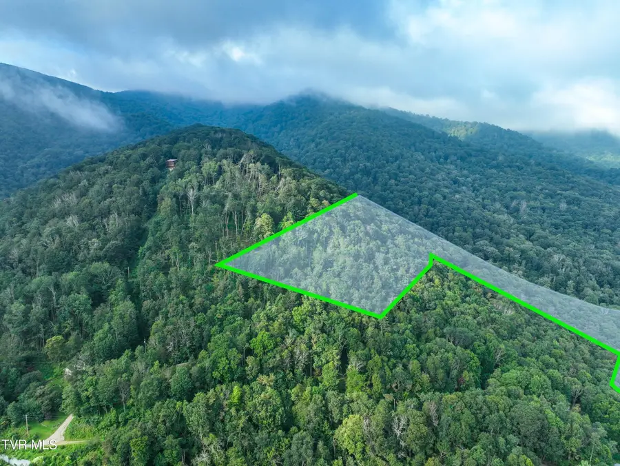 000 Sylvan Way, Roan Mountain, TN 37687 - #2
