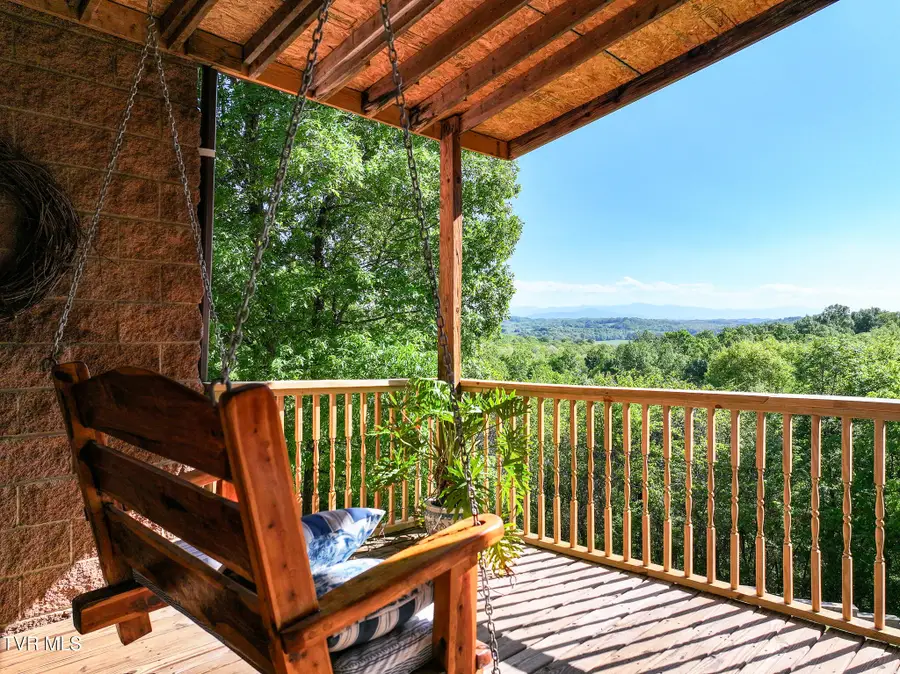 1005 Jackson Hollow Road, Mosheim, TN 37818 - #3