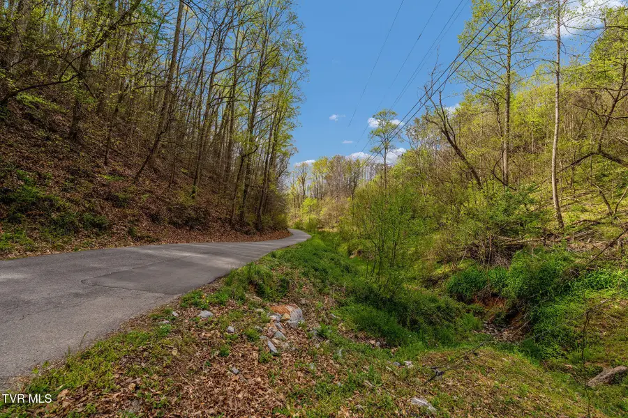 Tbd Chambers Drive, Elizabethton, TN 37643 - #3