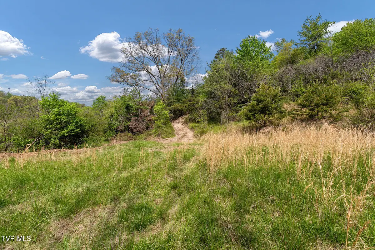 Tbd Lacy Hollow Road, Elizabethton, TN 37643 - #1