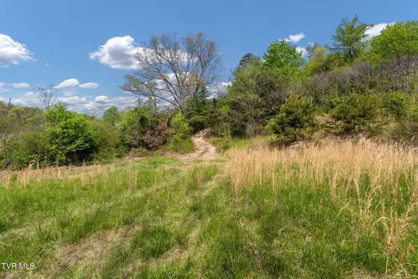 Tbd Lacy Hollow Road, Elizabethton, TN 37643
