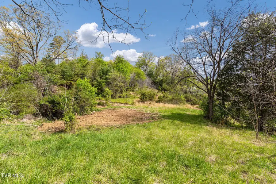 Tbd Lacy Hollow Road, Elizabethton, TN 37643 - #3