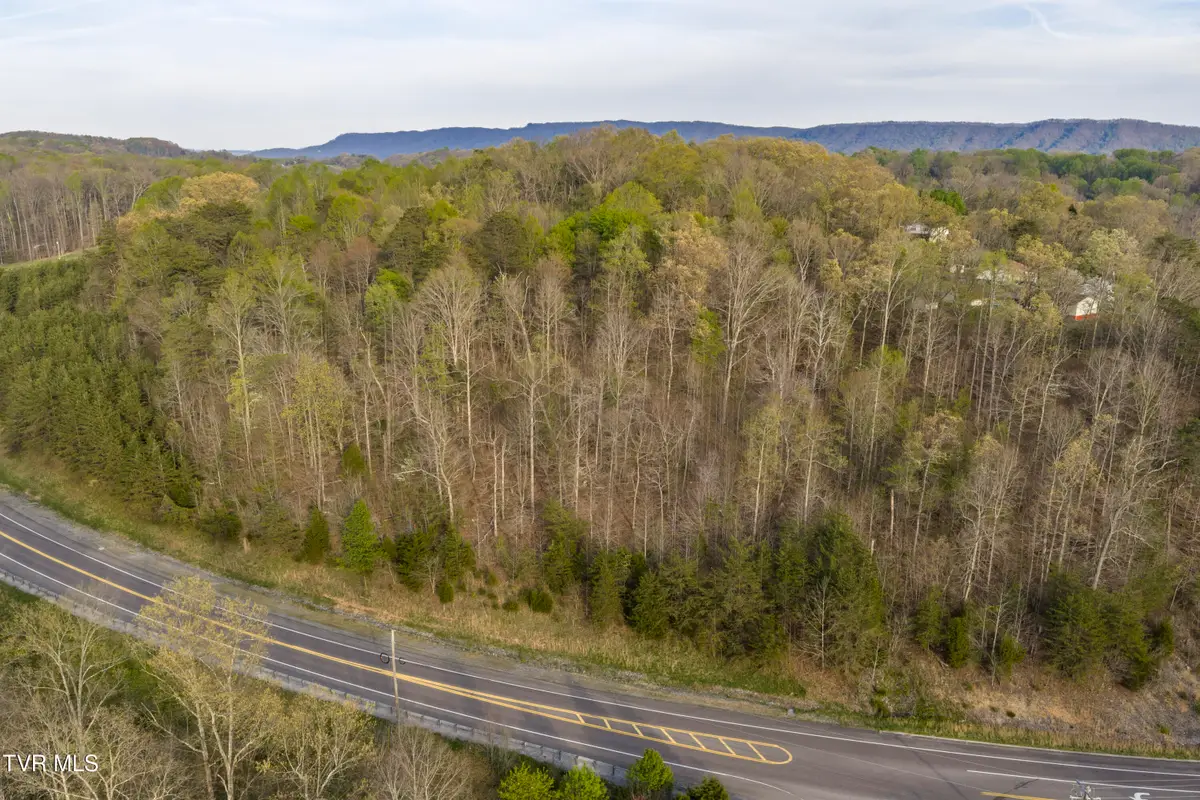 Lot 73 Central North Avenue, Church Hill, TN 37642 - #1