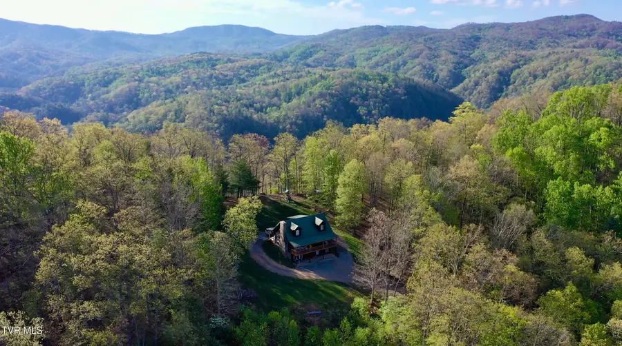 240 Joe Pye Lane, Greeneville, TN 37743 - #3