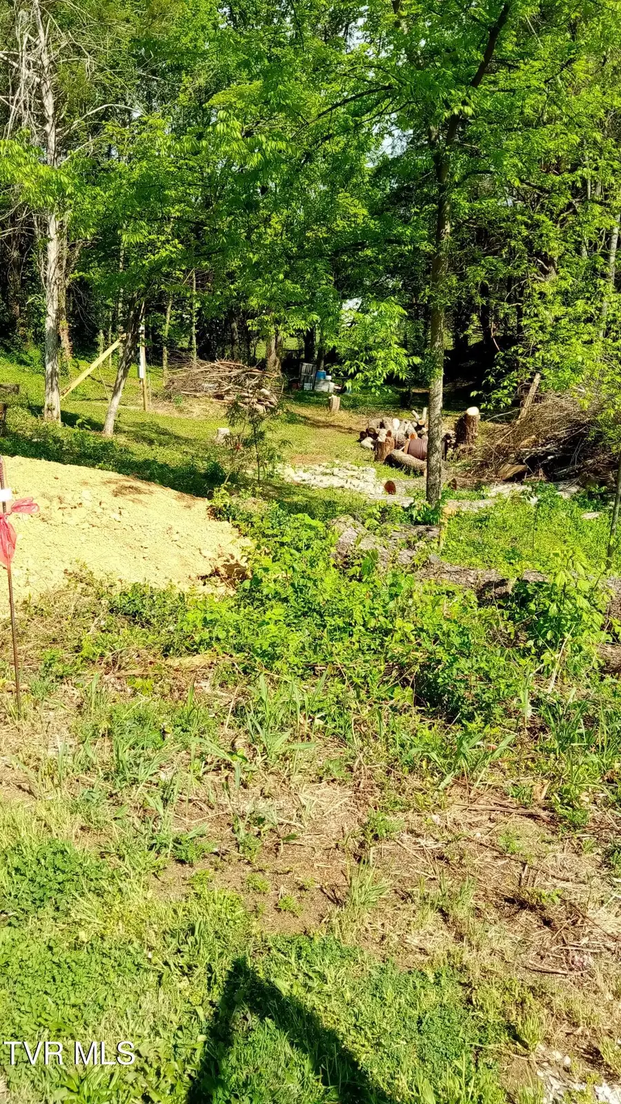 655 Sioux Trail, Greeneville, TN 37743 - #3