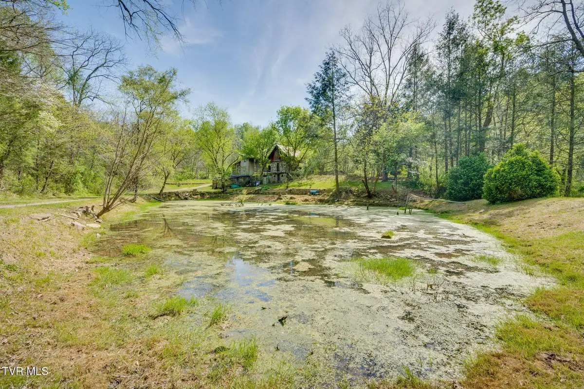 170 Davis Road, Thorn Hill, TN 37881 - #1
