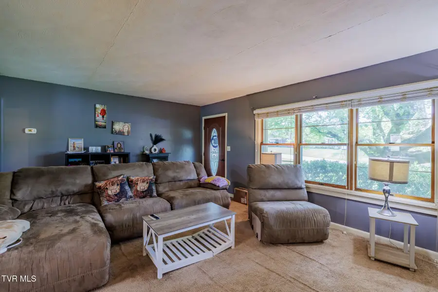 105 Houston Street, Bristol, TN 37620 - #3