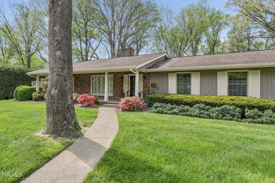 303 Hillside Road, Johnson City, TN 37601 - #3