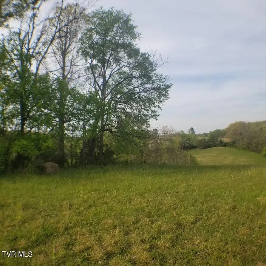 00 Loves Lane, Greeneville, TN 37743 - #1