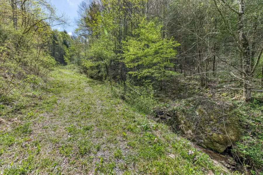 Tbd T Greer Road, Mountain City, TN 37683 - #3