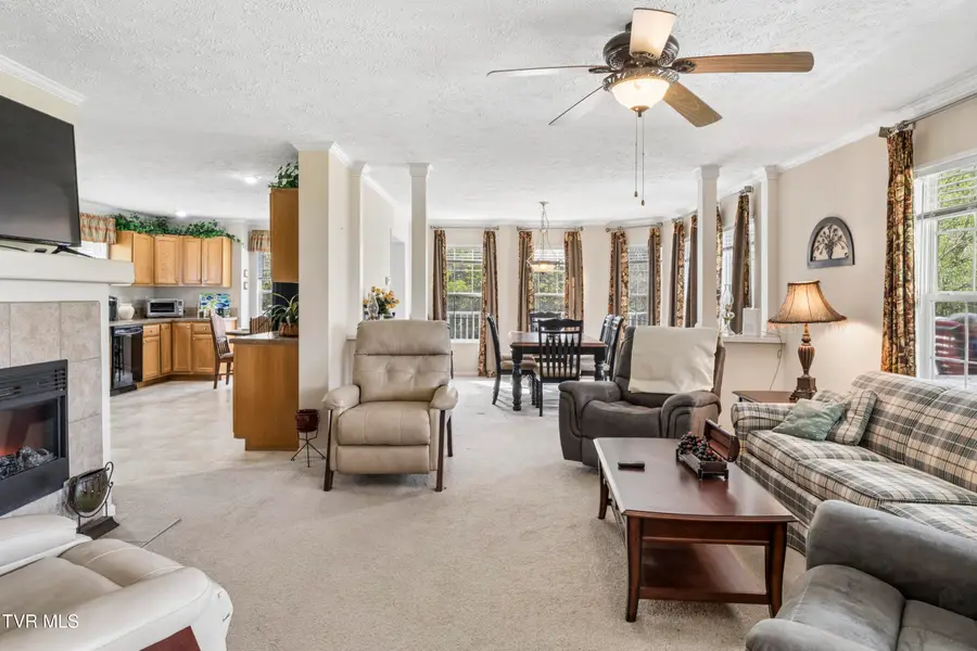 2169 Rice Creek Road, Flag Pond, TN 37657 - #2