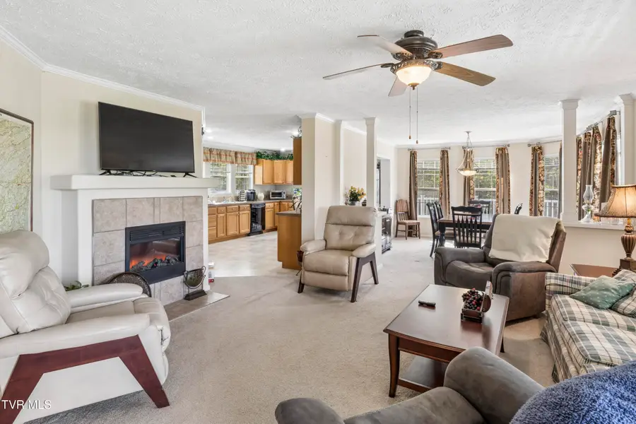 2169 Rice Creek Road, Flag Pond, TN 37657 - #3