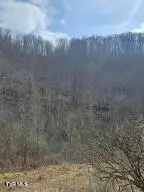 792 Adria Road, North Tazewell, VA 24630 - #2