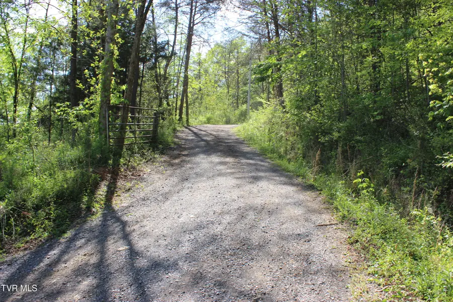 2193 Burem Road, Rogersville, TN 37857 - #2