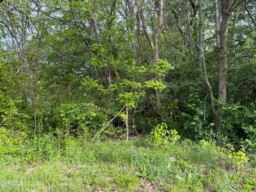 Tbd Reedy Creek Road, Kingsport, TN 37664 - #2