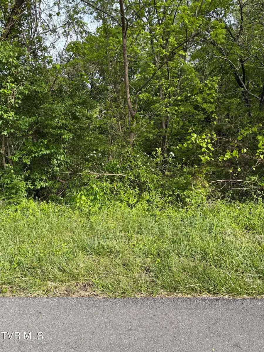 1725 Reedy Creek Road, Kingsport, TN 37664 - #2