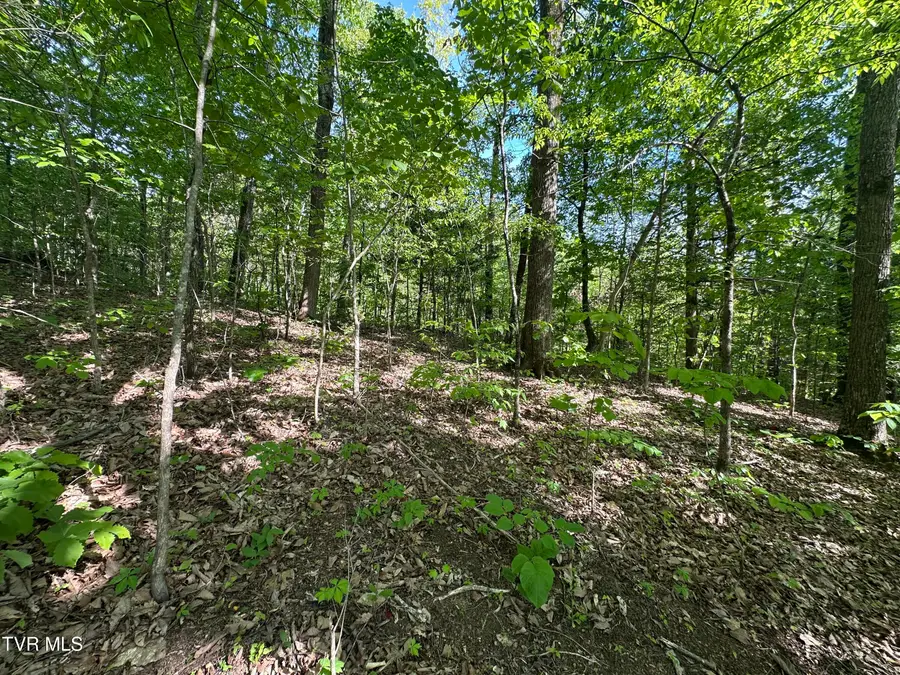 00 Deerfoot Road, Cosby, TN 37722 - #3