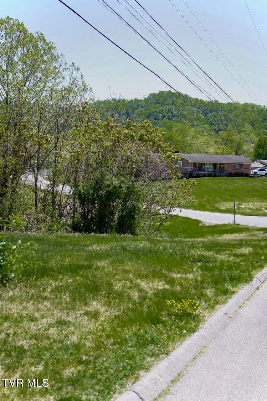 100 Richmond Heights Road, Bristol, TN 37620 - #3